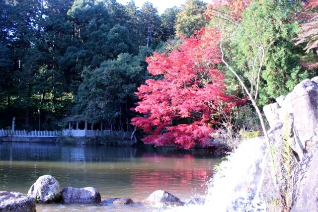 たつの市の紅葉
