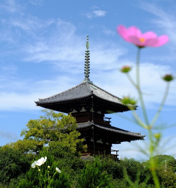 斑鳩町の法起寺