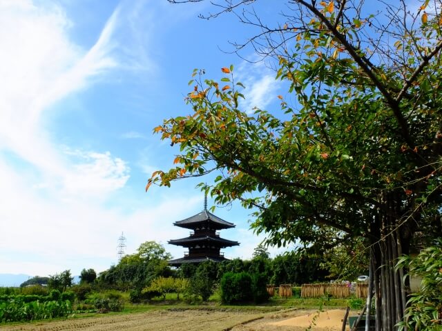 斑鳩町法起寺