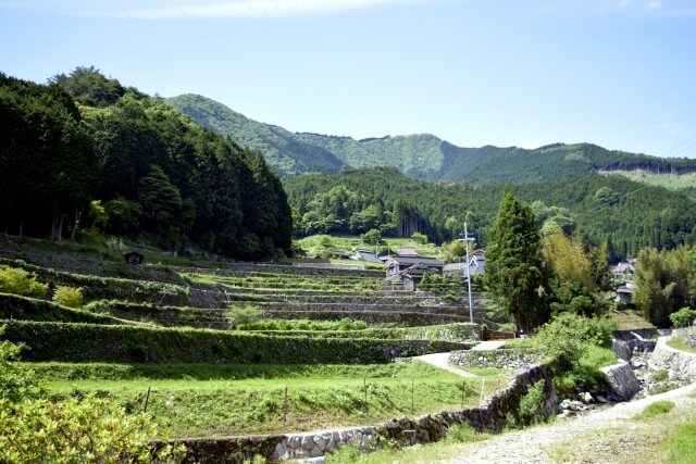 多可町の棚田