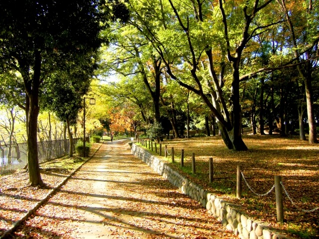 尼崎市の猪名川公園