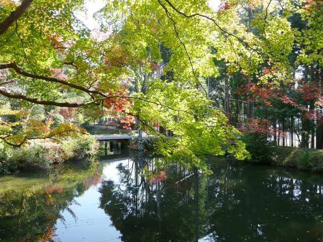 丹波篠山市の洞光寺