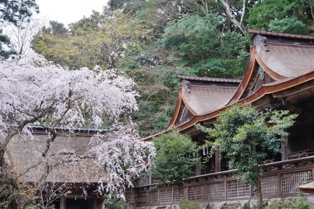 吉野水分神社