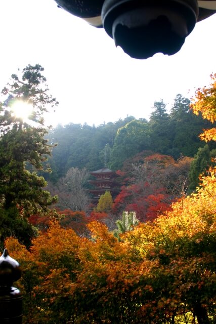桜井市の長谷寺