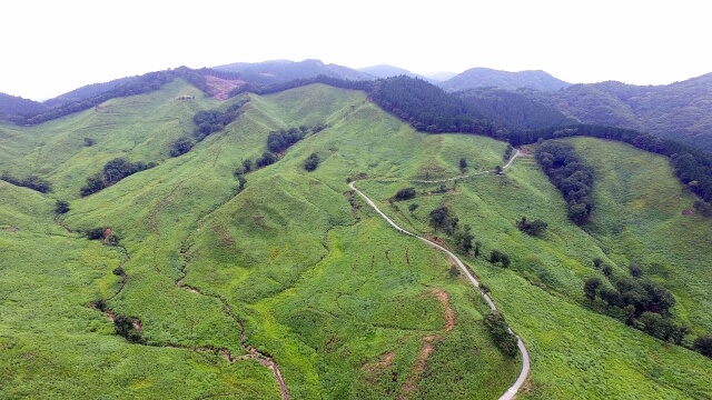 神河町の砥峰高原