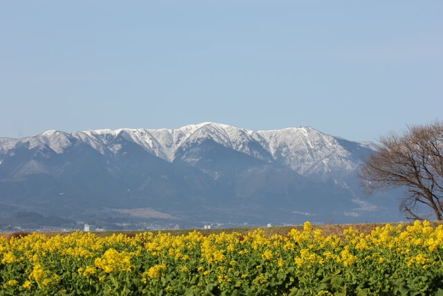 守山市比良暮雪