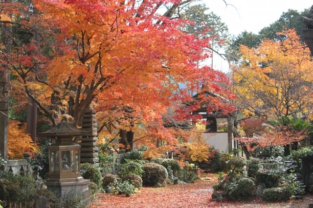 和束町の正法寺