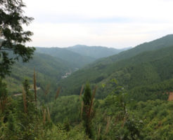 野迫川村の風景