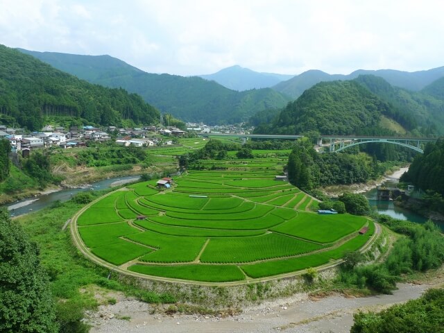 有田川町のあらぎ島