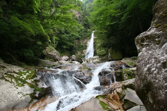 十津川村笹の滝