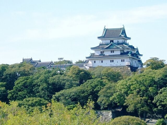 和歌山市のプロパンガス平均価格と最安値料金