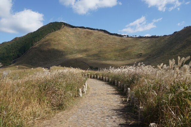 曽爾村の曽爾高原2