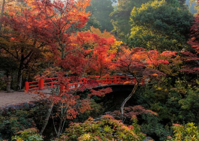 廿日市市の宮島紅葉谷