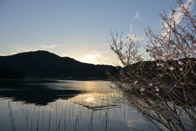 南伊勢町の五か所湾