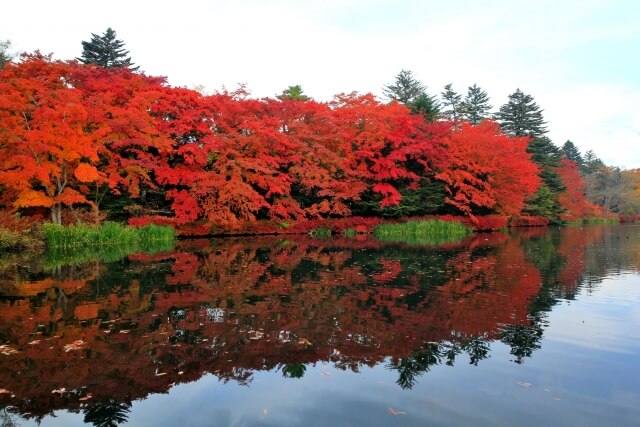 軽井沢町雲場池の紅葉