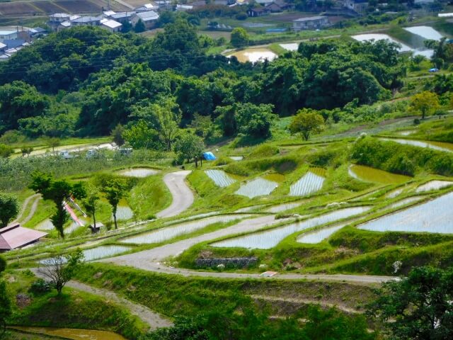 千曲市姨捨の棚田