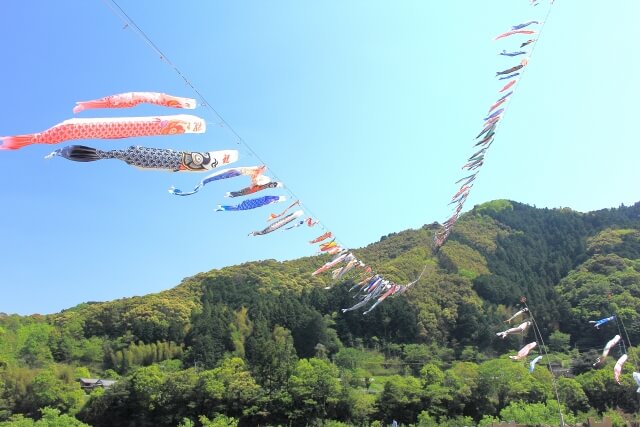 四万十町鯉の谷渡し