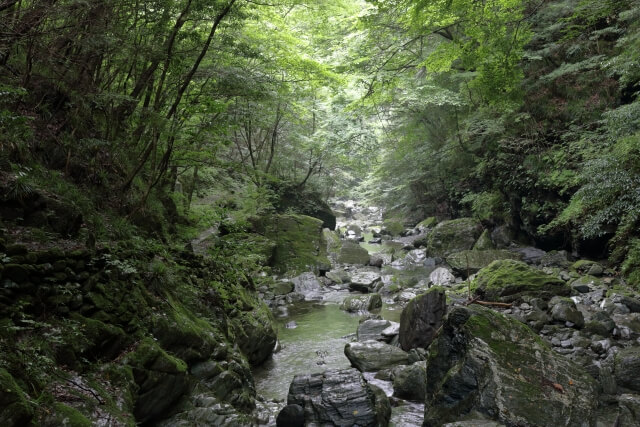 仁淀川町の飛龍の滝