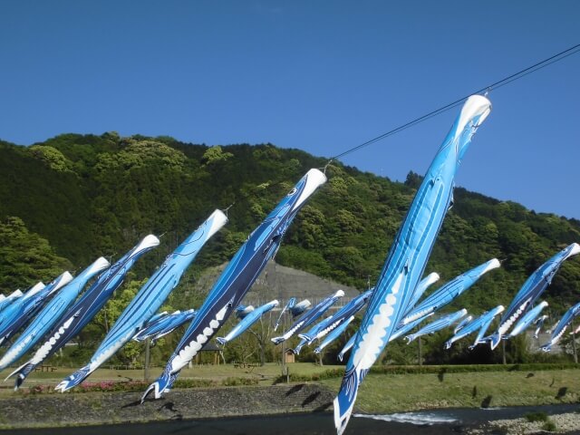 黒潮町の鰹のぼり