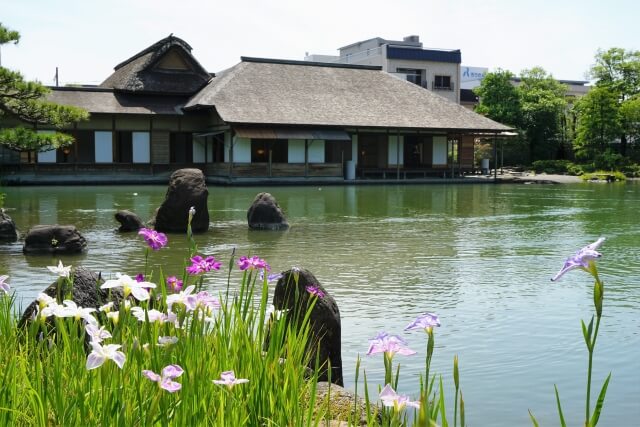 福井市の養浩館庭園