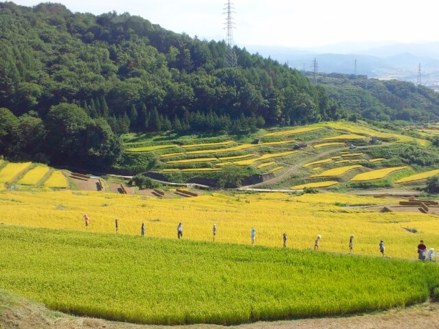 上田市稲倉の棚田