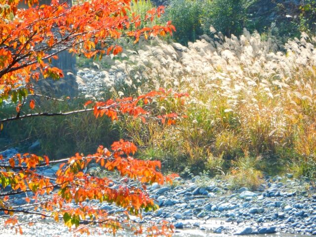 大鹿村の自然風景