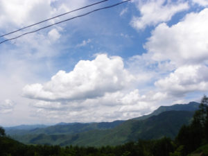 南相木村の夏山