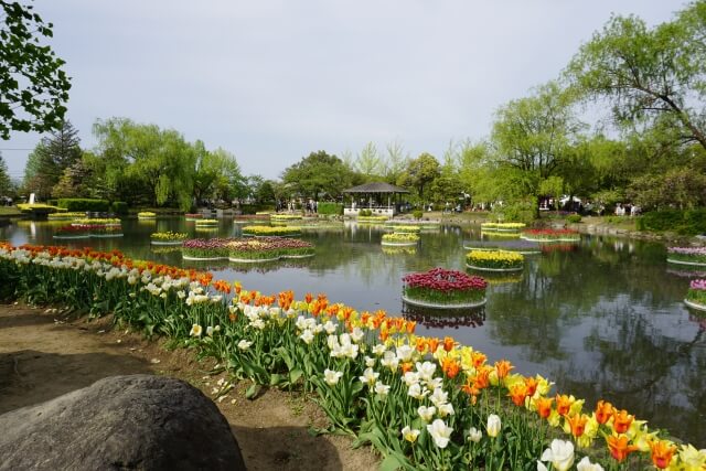 砺波市チューリップ公園