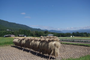 箕輪町の風景