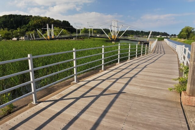 氷見市十二町潟水郷公園