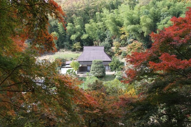 尾関山公園の紅葉