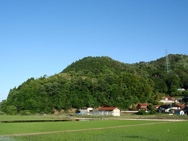 多治比猿掛城跡