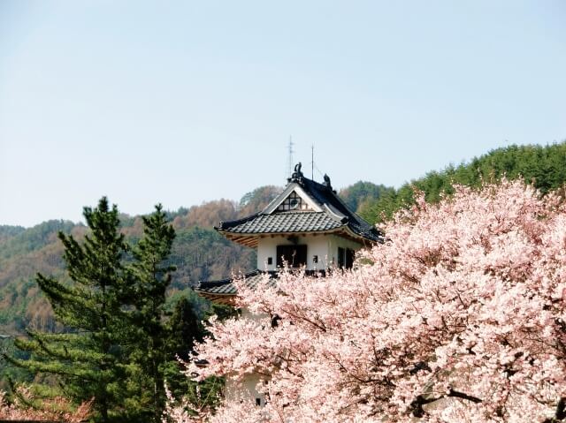 高遠城と桜