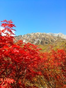 立山町黒部平の風景