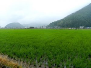 鯖江市の風景