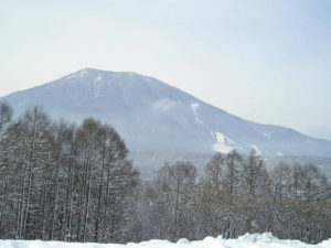 信濃町の雪景色