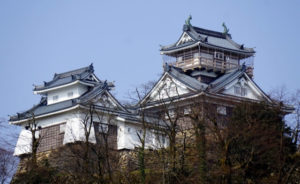 越前大野城