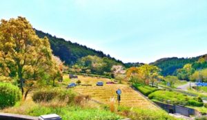 大月町の風景