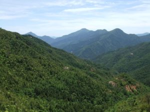 大座礼山の風景