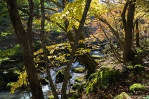 芦津渓谷の風景2
