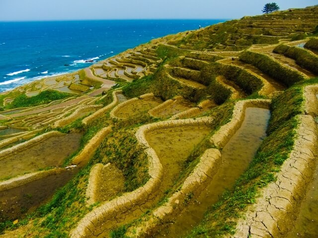 輪島市 白米千枚田の風景