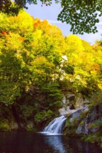 三朝町 小鹿渓谷の風景