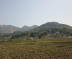 高社山