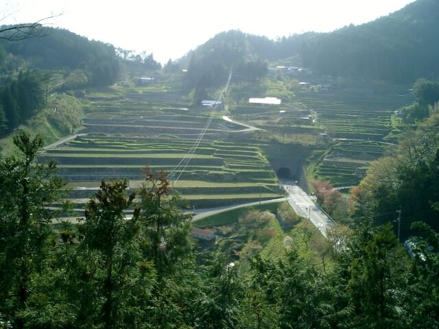 檮原町 神在居の棚田