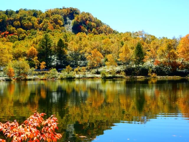 木戸池の紅葉