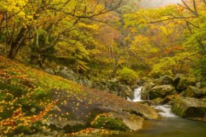 芦津渓谷の風景