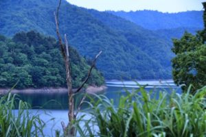 大野市 九頭竜湖