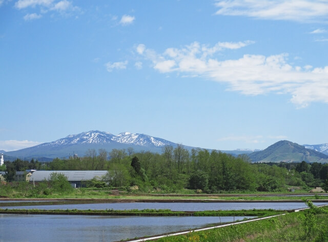 初夏の八甲田山