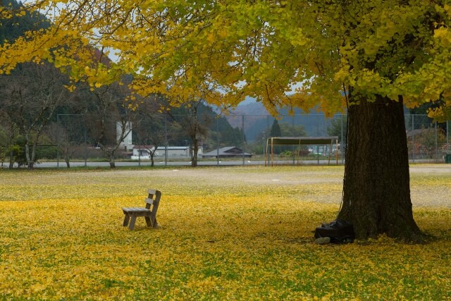 旧日野小学校の風景