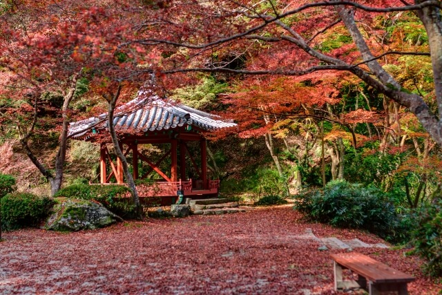 六角亭の紅葉 岩国市